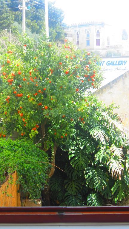 Villa Apollo B&B Capri Phòng bức ảnh