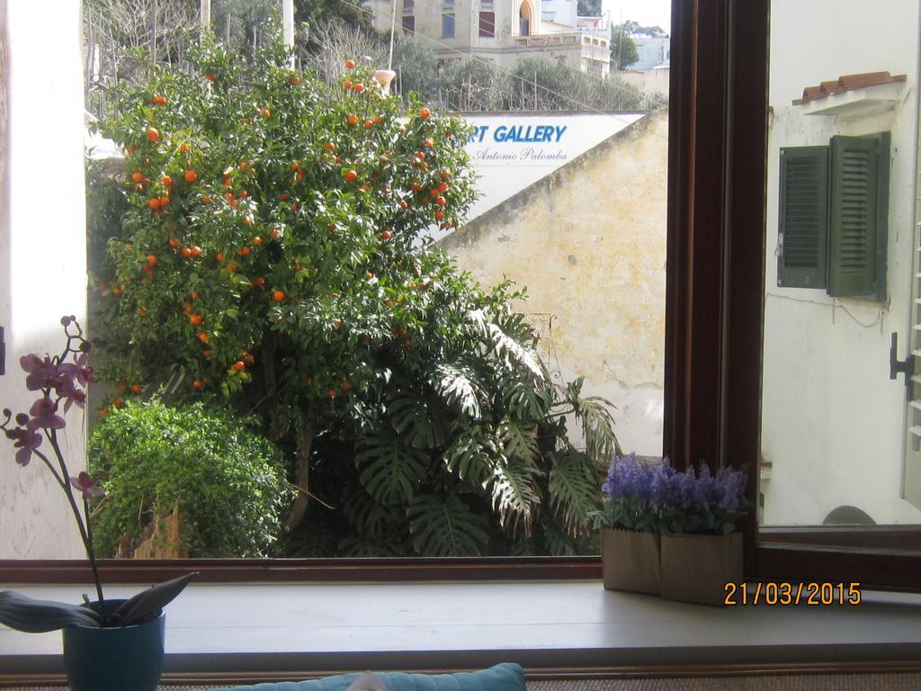 Villa Apollo B&B Capri Phòng bức ảnh