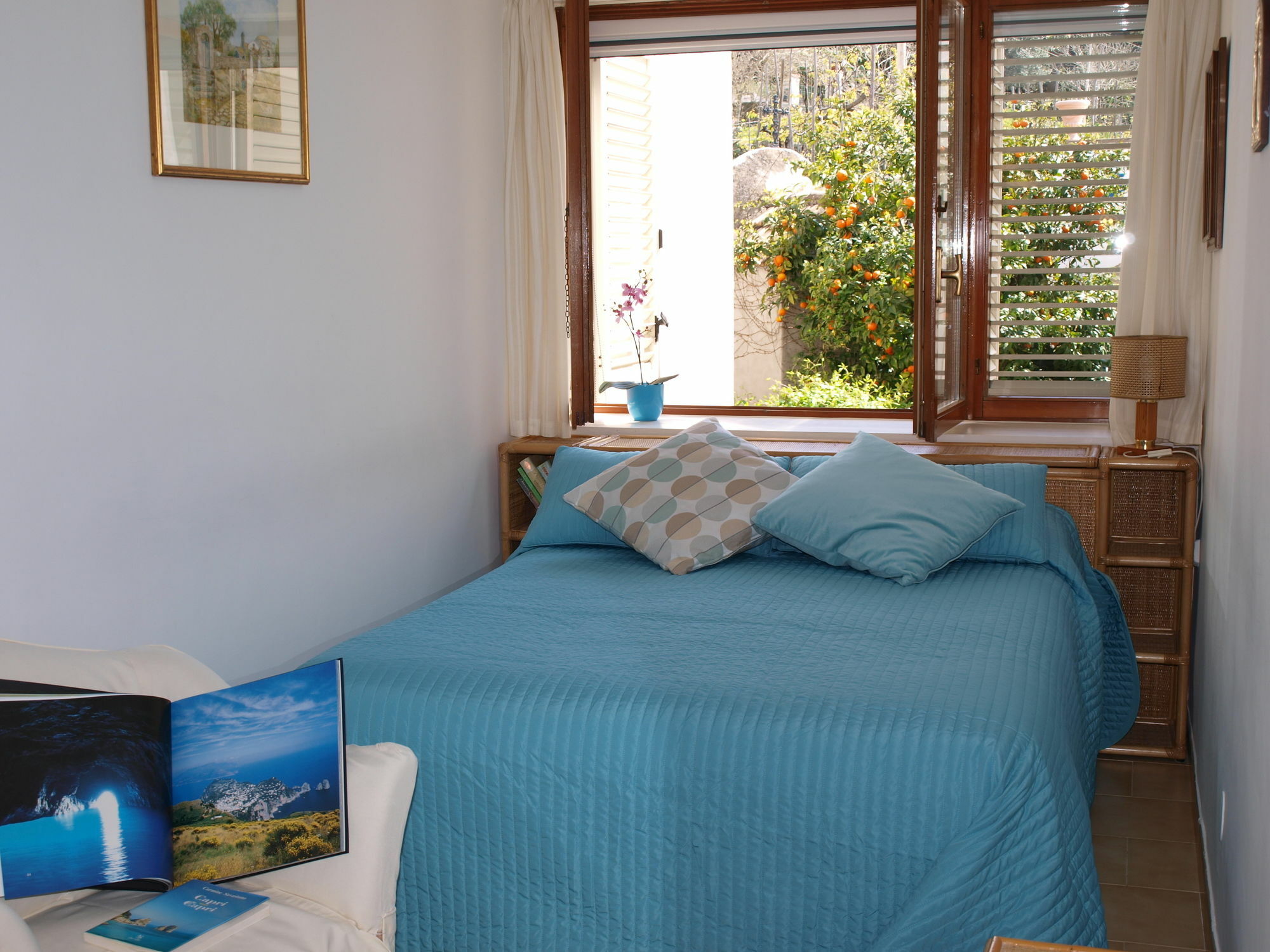 Villa Apollo B&B Capri Ngoại thất bức ảnh